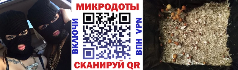 Псилоцибиновые грибы MAGIC MUSHROOMS  Холм 